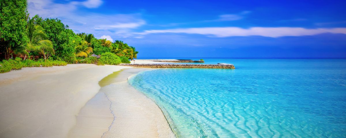 A tropical beach with palms and clear water